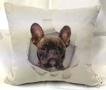 Снимка на Декоративна възглавница - Палавото куче